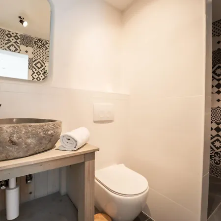 Rosetree By Interhome Villa De Haan
