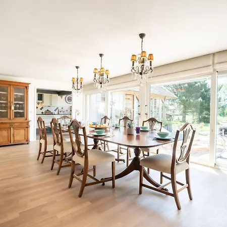 Rosetree By Interhome * De Haan